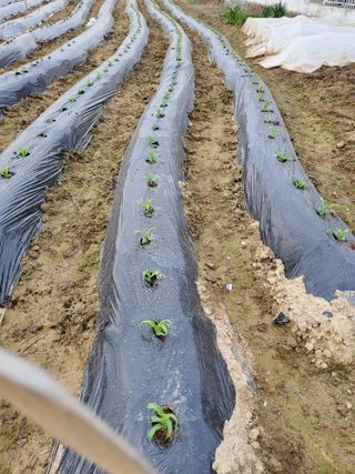 최남옥님의 자유주제 · 자유게시판 작성글 사진