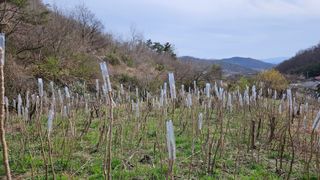 세상바위님의 4월 내 작물 자랑하기 · 참여글 작성글 사진