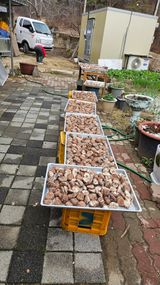 팜모닝 자유주제·자유게시판 게시글 이미지