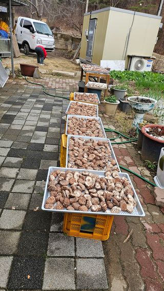 귤17884님의 자유주제 · 자유게시판 작성글 사진