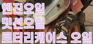 김중언님의 호박 · 영농일지 작성글 사진