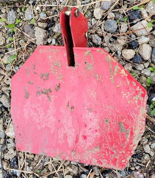 김중언님의 호박 · 영농일지 작성글 사진