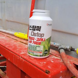 오호Ohoo님의 작성글 사진