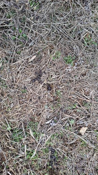 오호Ohoo님의 작성글 사진