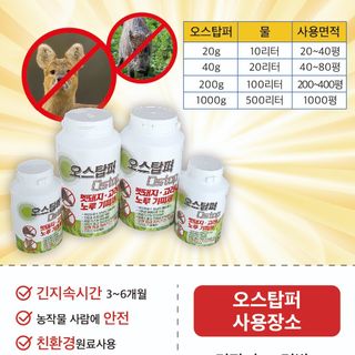 오호Ohoo님의 작성글 사진