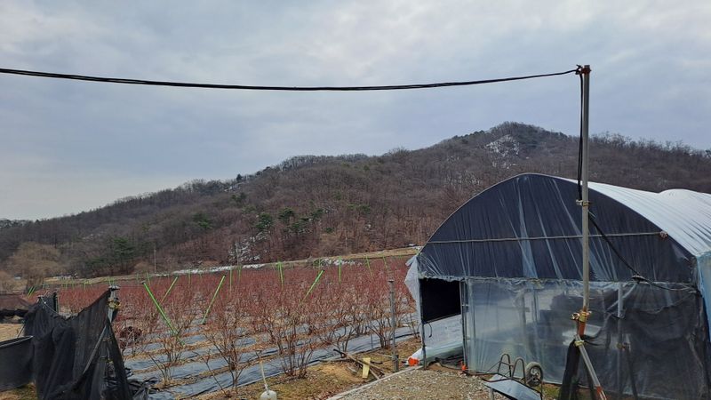 오호Ohoo님의 장터 판매 상품 [오스탑퍼 1kg 신개념야생동물기피제] 첨부 사진