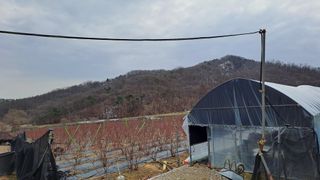 오호Ohoo님의 작성글 사진