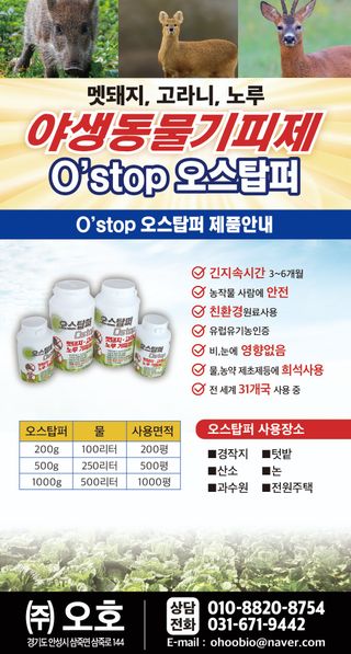오호Ohoo님의 작성글 사진