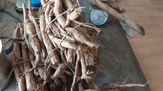 파머스팜X유성천마님의 자유주제 · 자유게시판 작성글 사진