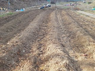 당근한개님의 자유주제 · 자유게시판 작성글 사진