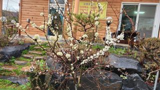 정회환 님의 자유주제 · 자유게시판 작성글 사진