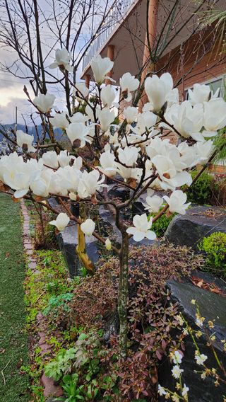 정회환 님의 자유주제 · 자유게시판 작성글 사진