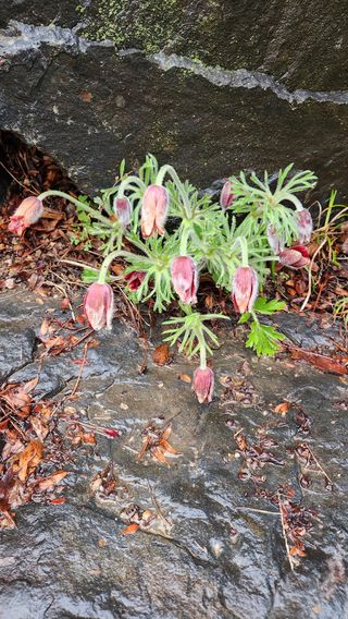 정회환 님의 자유주제 · 자유게시판 작성글 사진