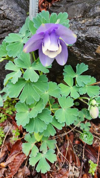 정회환 님의 자유주제 · 자유게시판 작성글 사진