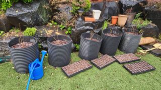 정회환 님의 자유주제 · 자유게시판 작성글 사진