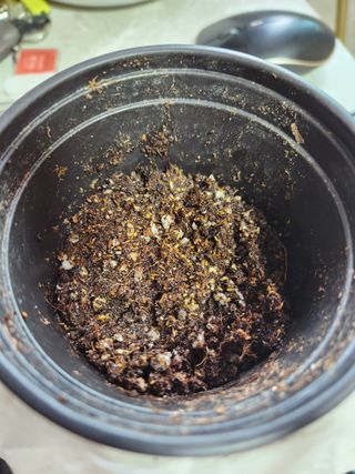 이상준님의 고추 · 영농일지 작성글 사진