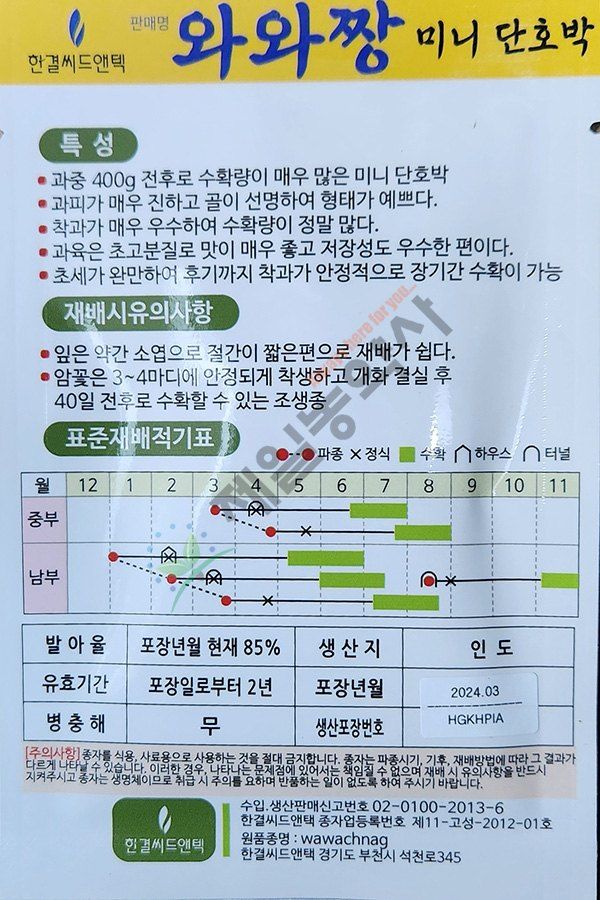 안산제일농약사님의 장터 판매 상품 [와와짱미니단호박 5립 ] 첨부 사진