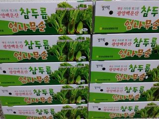 안길원님의 4월 내 작물 자랑하기 · 참여글 작성글 사진