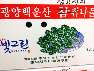 안길원님의 4월 내 작물 자랑하기 · 참여글 작성글 사진