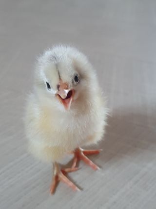 사과짱님의 자유주제 · 자유게시판 작성글 사진