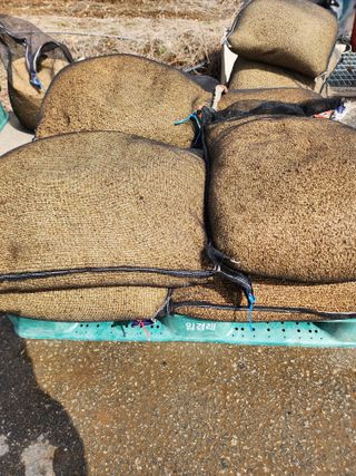 농부 임성훈님의 벼 · 영농일지 작성글 사진