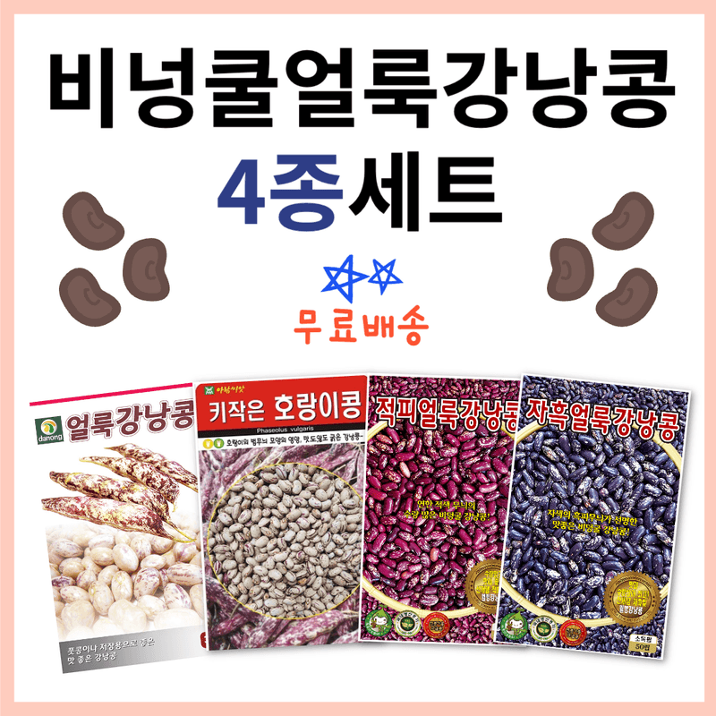 장터 상품 [비넝쿨 강낭콩 씨앗 4종세트 (호랑이 얼룩 적피얼룩 자흑얼룩)] 썸네일