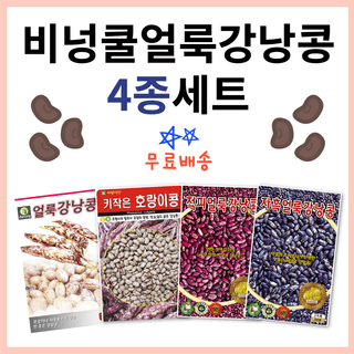 주주씨앗님의 작성글 사진