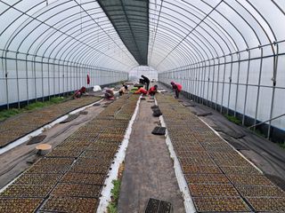 김종덕님의 자유주제 · 자유게시판 작성글 사진