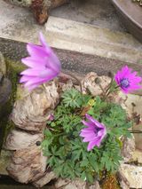 팜모닝 자유주제·자유게시판 게시글 이미지