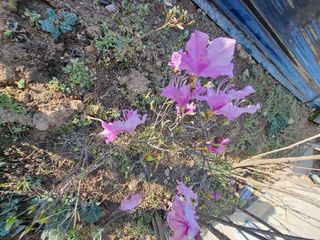 신한숙님의 자유주제 · 자유게시판 작성글 사진