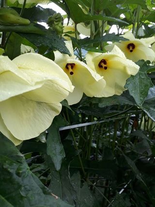 신한숙님의 자유주제 · 자유게시판 작성글 사진