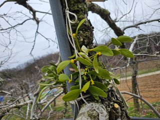 예나사랑님의 자유주제 · 자유게시판 작성글 사진