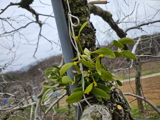 예나사랑님의 자유주제 · 자유게시판 작성글 사진