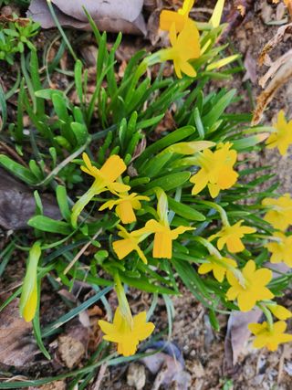 토마토21409님의 4월 내 작물 자랑하기 · 참여글 작성글 사진