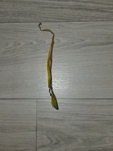 팜모닝 마늘·병해충상담 게시글 이미지