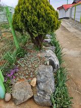 팜모닝 4월 내 작물 자랑하기·참여글 게시글 이미지