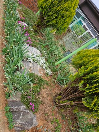 감자20359님의 4월 내 작물 자랑하기 · 참여글 작성글 사진