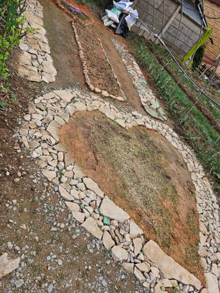 감자20359님의 4월 내 작물 자랑하기 · 참여글 작성글 사진