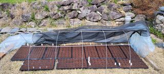 김중언님의 호박 · 자유게시판 작성글 사진