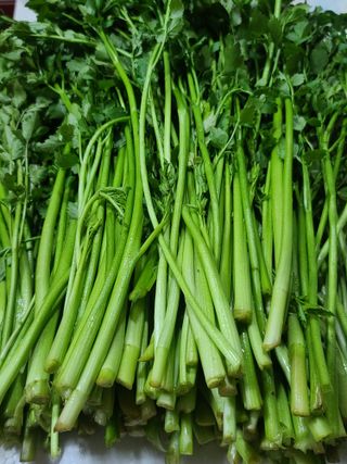 종일님의 4월 내 작물 자랑하기 · 참여글 작성글 사진