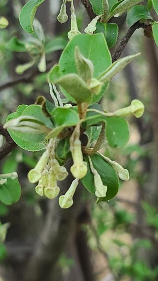 종일님의 4월 내 작물 자랑하기 · 참여글 작성글 사진