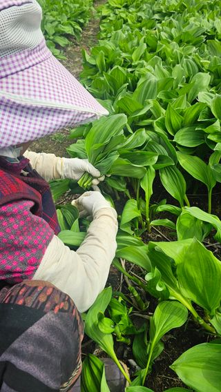 재화농원(이재권)님의 작성글 사진