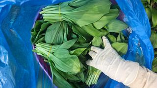 재화농원(이재권)님의 작성글 사진