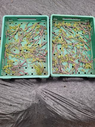 매미농장님의 기타작물 · 영농일지 작성글 사진