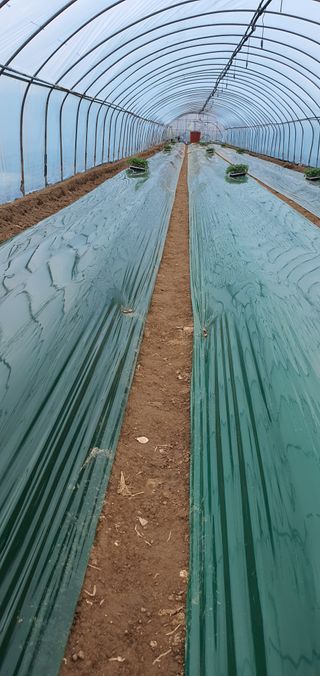 최창순님의 자유주제 · 자유게시판 작성글 사진