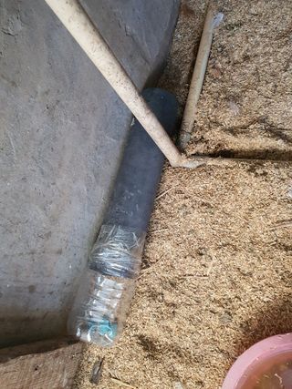 김영복님의 자유주제 · 자유게시판 작성글 사진