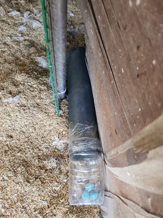 김영복님의 자유주제 · 자유게시판 작성글 사진