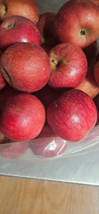 스마일님의 작성글 사진