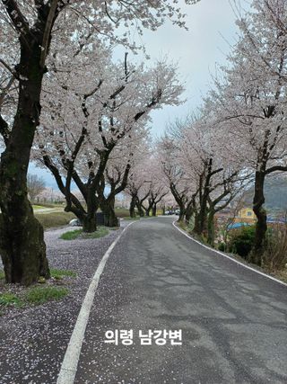 김대업님의 자유주제 · 자유게시판 작성글 사진