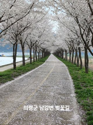 김대업님의 자유주제 · 자유게시판 작성글 사진